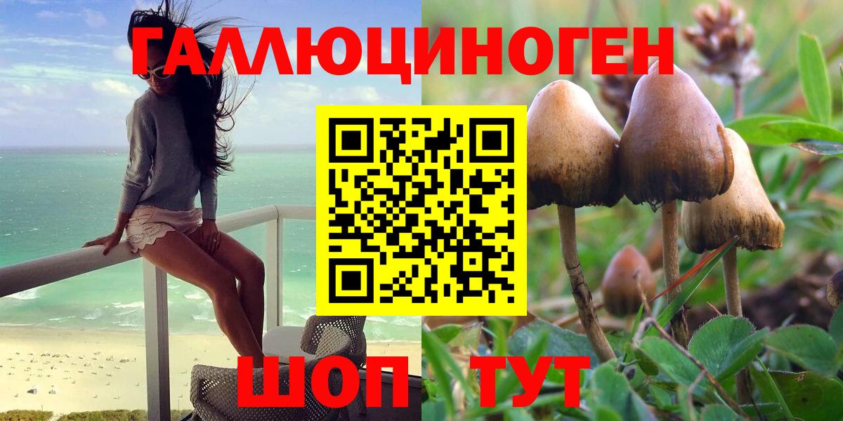 Зерноград  сколько стоит  Вход с VPN  Галлюциногенные грибы MAGIC MUSHROOMS 
